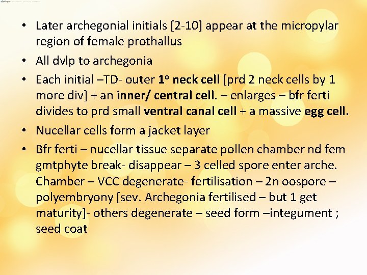  • Later archegonial initials [2 -10] appear at the micropylar region of female