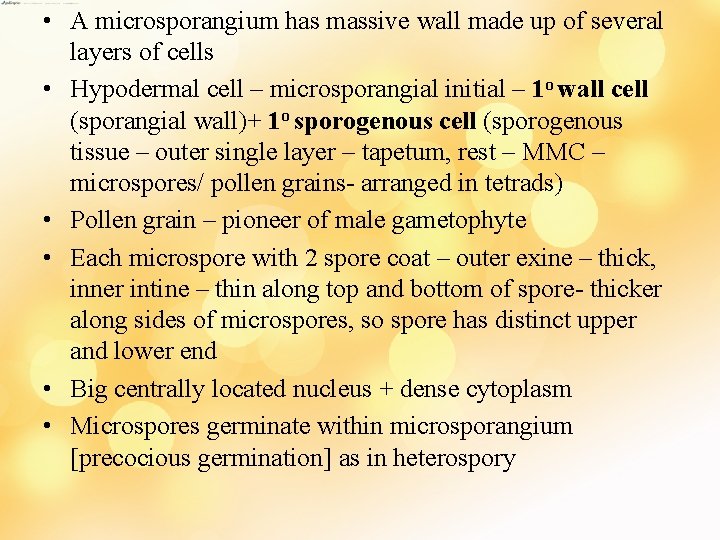  • A microsporangium has massive wall made up of several layers of cells