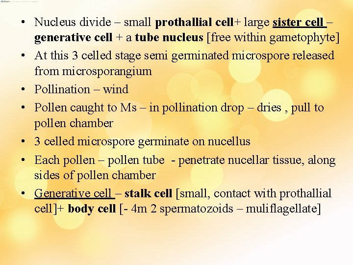  • Nucleus divide – small prothallial cell+ large sister cell – generative cell