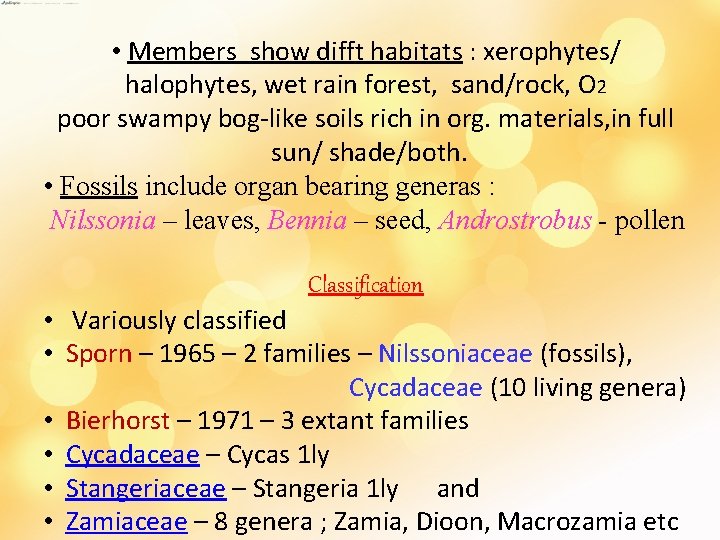  • Members show difft habitats : xerophytes/ halophytes, wet rain forest, sand/rock, O