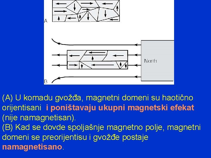 (A) U komadu gvožđa, magnetni domeni su haotično orijentisani i poništavaju ukupni magnetski efekat
