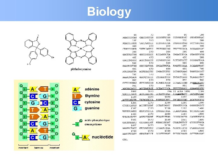 Biology 