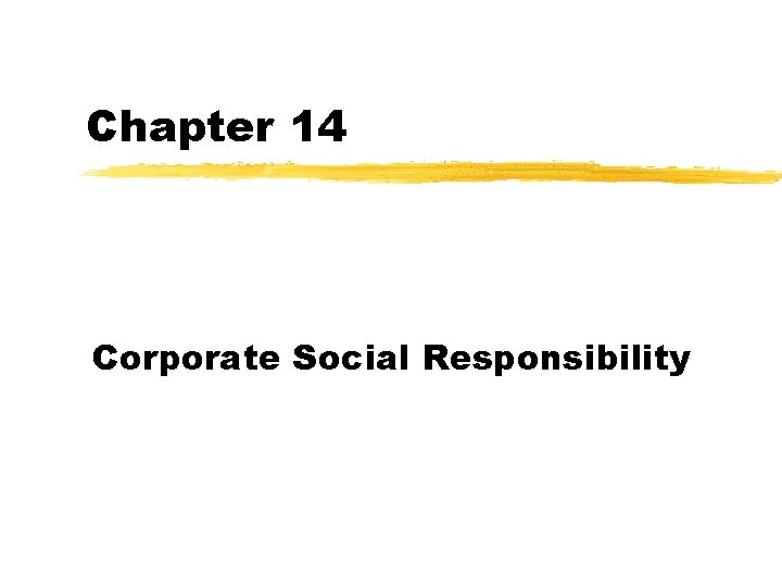 Chapter 14 Corporate Social Responsibility 