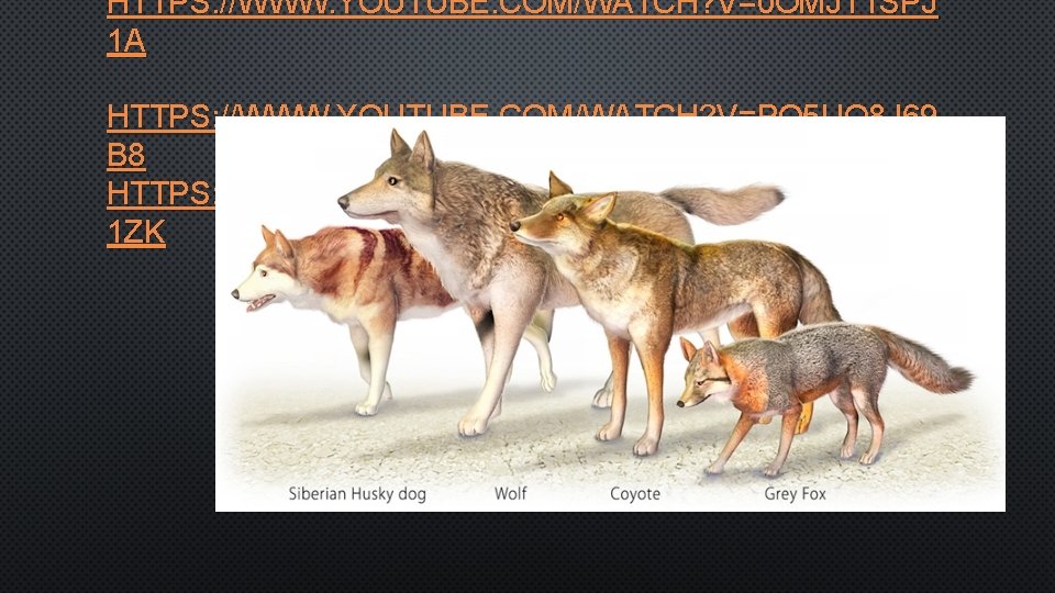 HTTPS: //WWW. YOUTUBE. COM/WATCH? V=0 OMJT 1 SPJ 1 A HTTPS: //WWW. YOUTUBE. COM/WATCH?