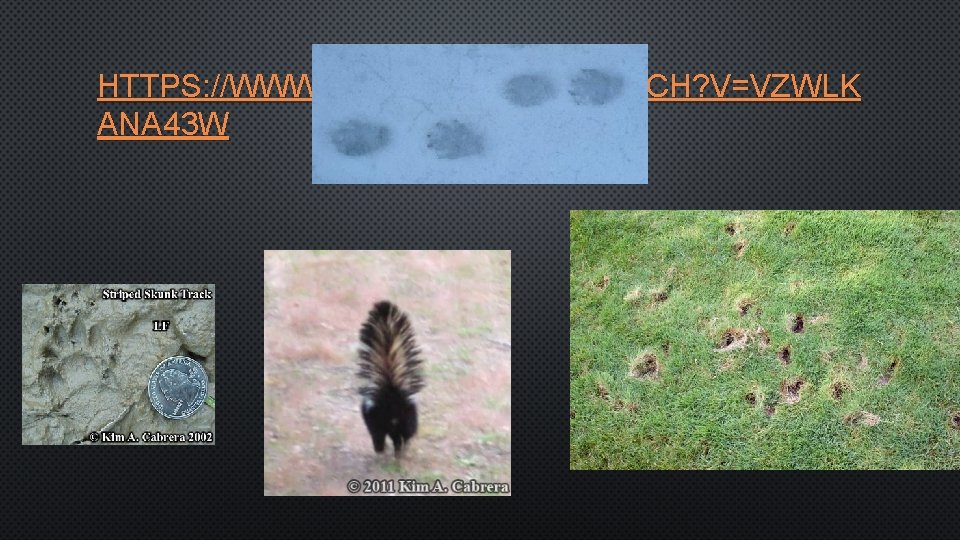 HTTPS: //WWW. YOUTUBE. COM/WATCH? V=VZWLK ANA 43 W 