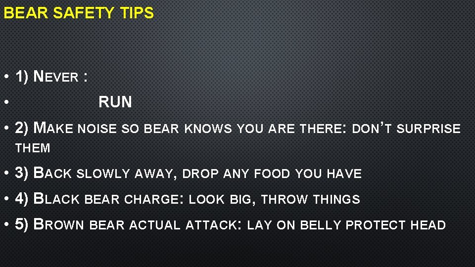 BEAR SAFETY TIPS • 1) NEVER : • RUN • 2) MAKE NOISE SO