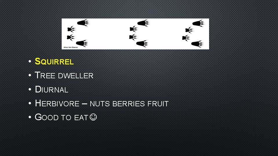  • • • SQUIRREL TREE DWELLER DIURNAL HERBIVORE – NUTS BERRIES FRUIT GOOD