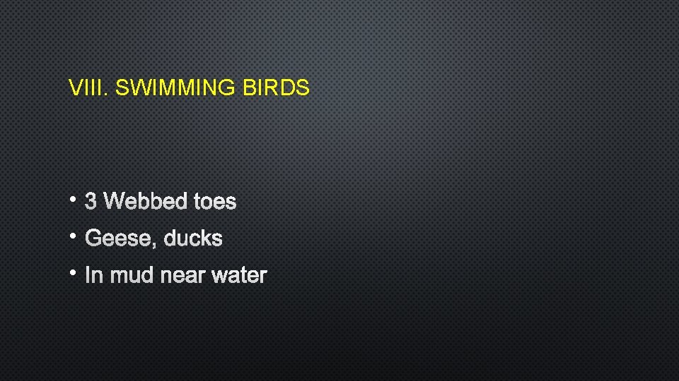 VIII. SWIMMING BIRDS • 3 WEBBED TOES • GEESE, DUCKS • IN MUD NEAR