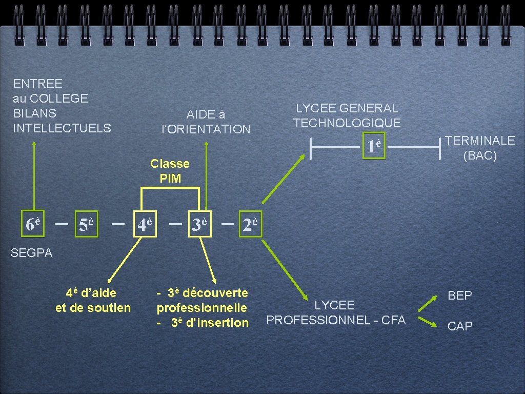 ENTREE au COLLEGE BILANS INTELLECTUELS AIDE à l’ORIENTATION Classe PIM 6è 5è 4è 3è