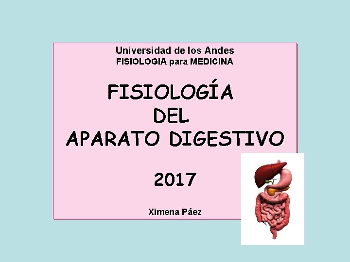 Universidad de los Andes FISIOLOGIA para MEDICINA FISIOLOGÍA DEL APARATO DIGESTIVO 2017 Ximena Páez