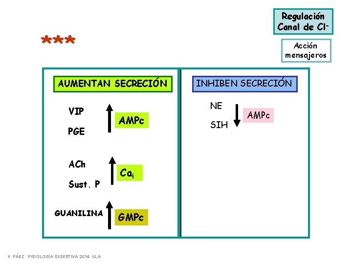 Regulación Canal de Cl- * ** Acción mensajeros AUMENTAN SECRECIÓN VIP PGE ACh Sust.