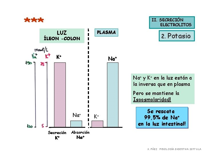 *** II. SECRECIÓN ELECTROLITOS LUZ ÍLEON -COLON PLASMA K+ 2. Potasio Na+ y K+