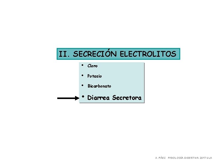 II. SECRECIÓN ELECTROLITOS • Cloro • Potasio • Bicarbonato • Diarrea Secretora X. PÁEZ