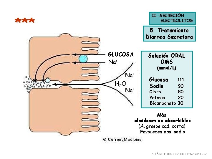 II. SECRECIÓN ELECTROLITOS *** 5. Tratamiento Diarrea Secretora GLUCOSA Na+ H 2 O Na+