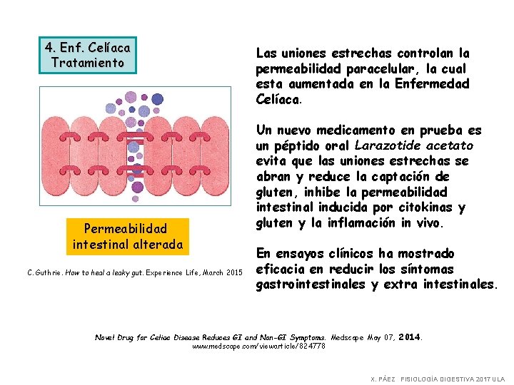 4. Enf. Celíaca Tratamiento Permeabilidad intestinal alterada C. Guthrie. How to heal a leaky