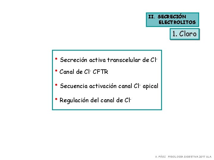 II. SECRECIÓN ELECTROLITOS 1. Cloro • Secreción activa transcelular de Cl • Canal de