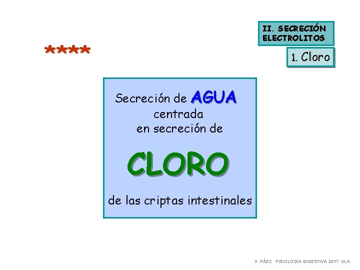 II. SECRECIÓN ELECTROLITOS **** 1. Cloro Secreción de AGUA centrada en secreción de CLORO