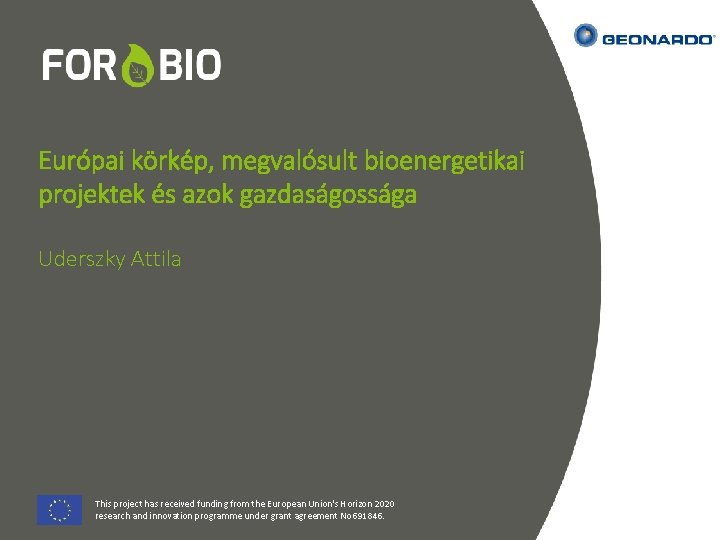 Európai körkép, megvalósult bioenergetikai projektek és azok gazdaságossága Uderszky Attila This project has received