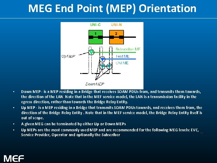 MEG End Point (MEP) Orientation • • Down MEP - is a MEP residing