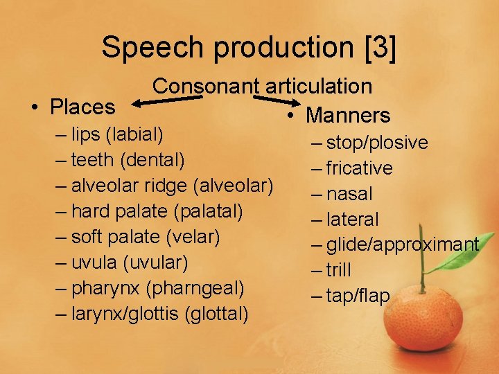 Speech production [3] • Places Consonant articulation • Manners – lips (labial) – teeth