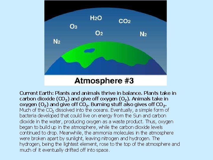 Current Earth: Plants and animals thrive in balance. Plants take in carbon dioxide (CO