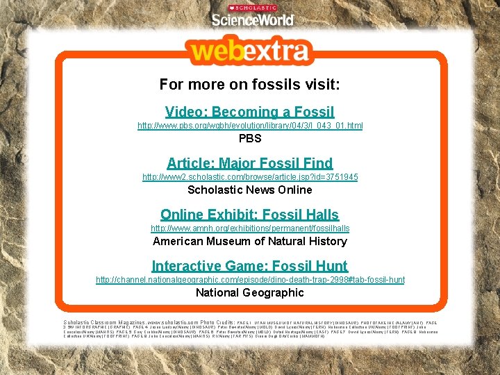 For more on fossils visit: Video: Becoming a Fossil http: //www. pbs. org/wgbh/evolution/library/04/3/l_043_01. html For more on fossils visit: Video: Becoming a Fossil http: //www. pbs. org/wgbh/evolution/library/04/3/l_043_01. html