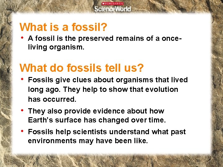 What is a fossil? • A fossil is the preserved remains of a onceliving What is a fossil? • A fossil is the preserved remains of a onceliving
