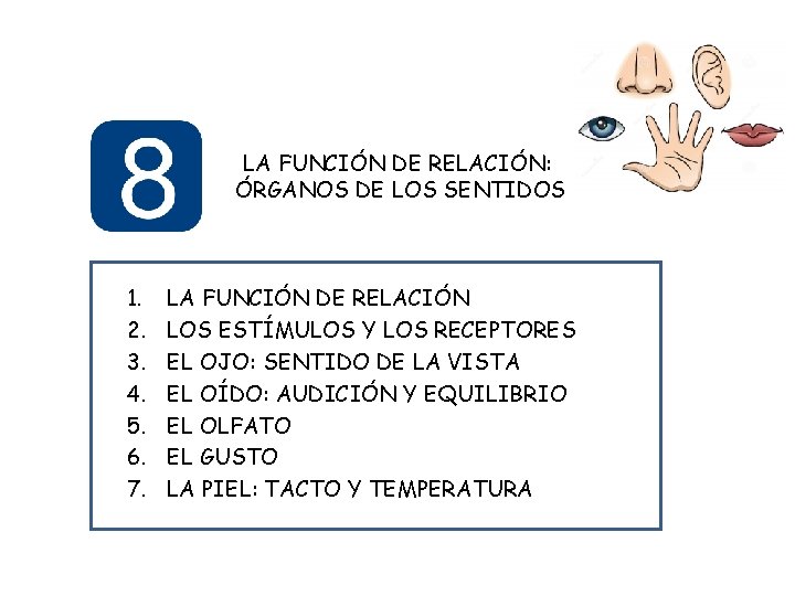 LA FUNCIÓN DE RELACIÓN: ÓRGANOS DE LOS SENTIDOS 1. 2. 3. 4. 5. 6.