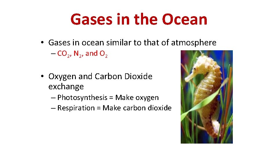 Gases in the Ocean • Gases in ocean similar to that of atmosphere –
