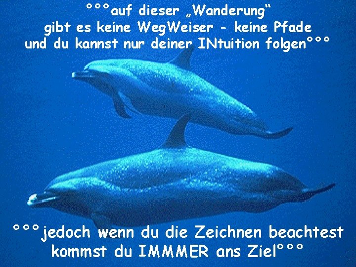 °°°auf dieser „Wanderung“ gibt es keine Weg. Weiser - keine Pfade und du kannst