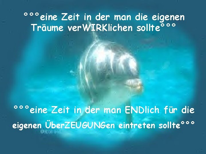 °°°eine Zeit in der man die eigenen Träume ver. WIRKlichen sollte°°° °°°eine Zeit in