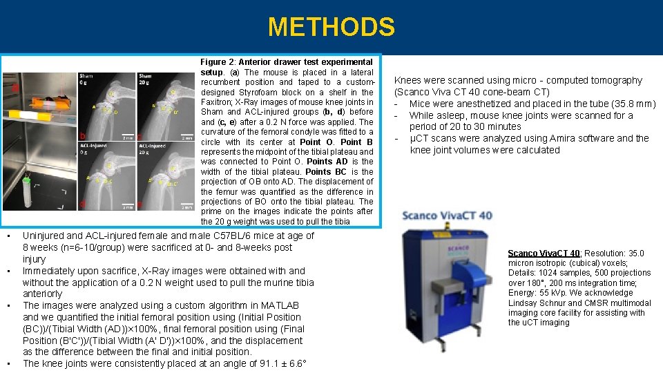 METHODS Figure 2: Anterior drawer test experimental setup. (a) The mouse is placed in