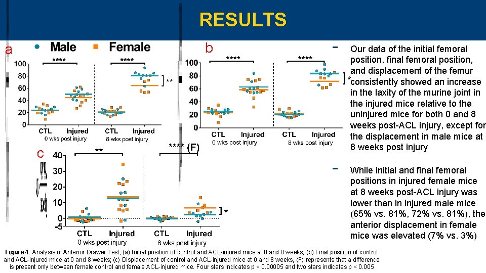 RESULTS b a c - Our data of the initial femoral position, final femoral
