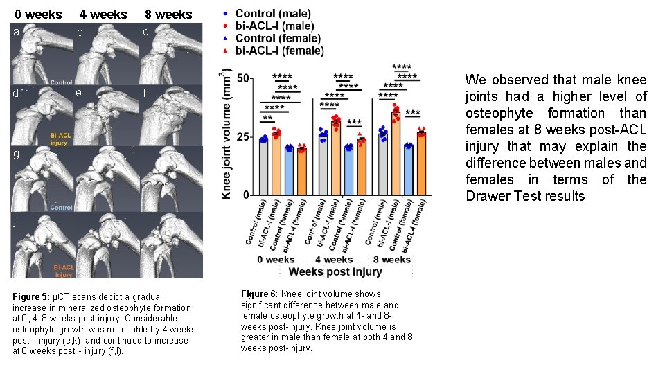 0 weeks 4 weeks 8 weeks a b c d e We observed that