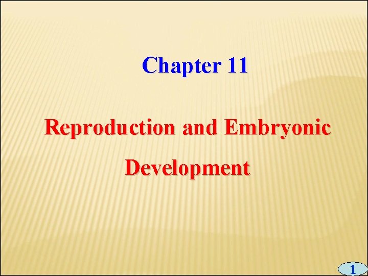 Chapter 11 Reproduction and Embryonic Development 1 