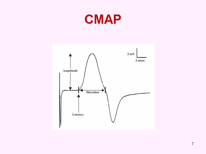 CMAP 7 