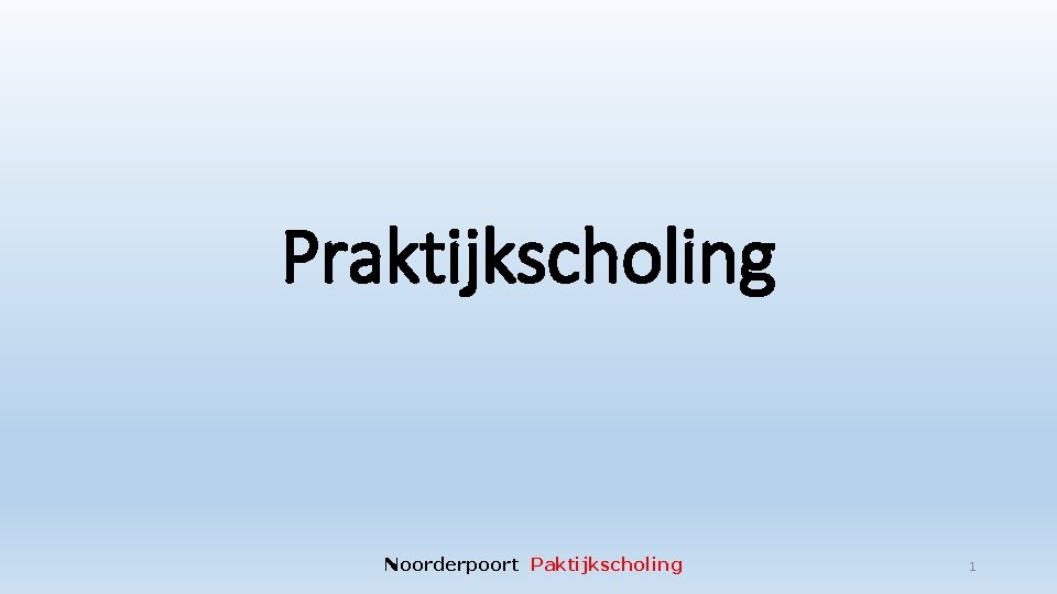 Praktijkscholing Noorderpoort Paktijkscholing 1 