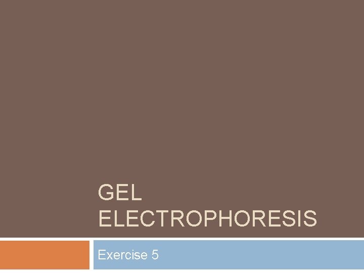 GEL ELECTROPHORESIS Exercise 5 