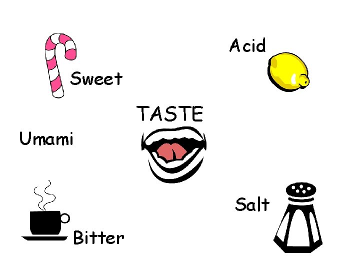 Acid Sweet Umami TASTE Salt Bitter 