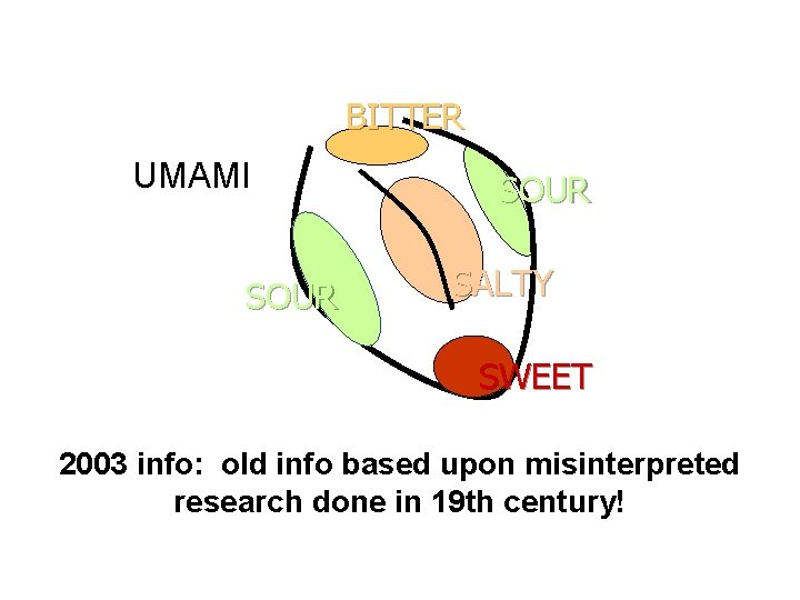 BITTER UMAMI SOUR SALTY SWEET 2003 info: old info based upon misinterpreted research done