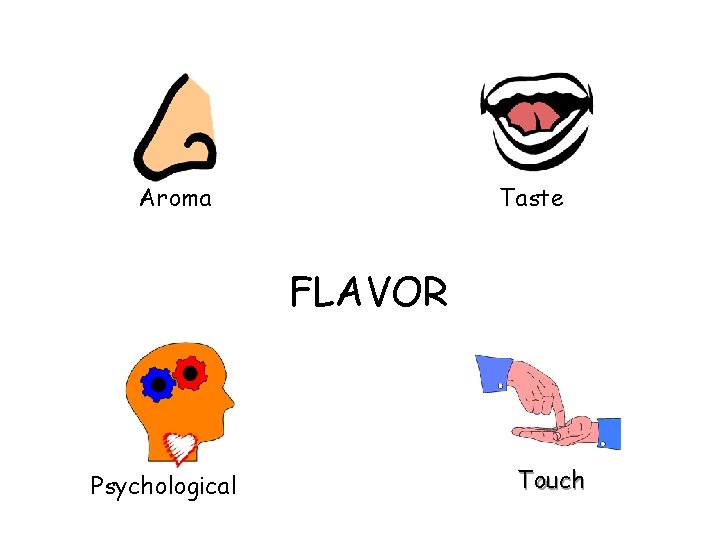 Aroma Taste FLAVOR Psychological Touch 