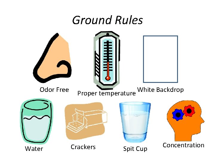 Ground Rules Odor Free Water Proper temperature White Backdrop Crackers Spit Cup Concentration 