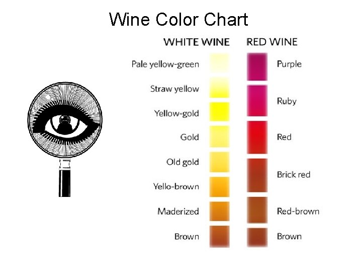 Wine Color Chart 