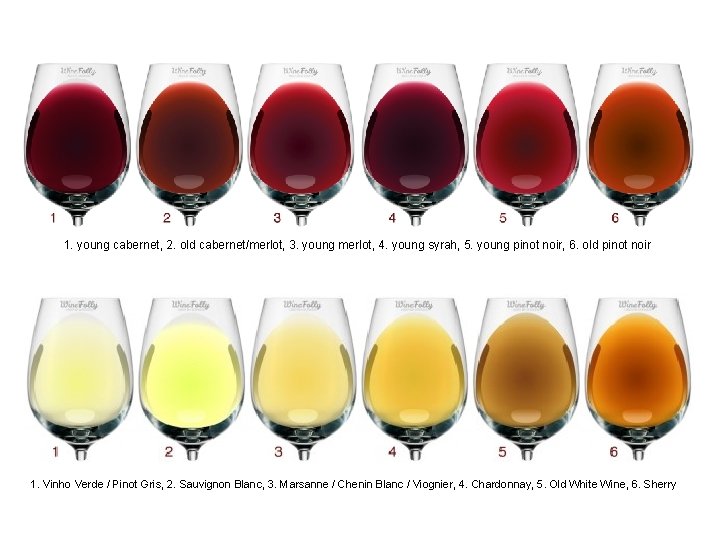 1. young cabernet, 2. old cabernet/merlot, 3. young merlot, 4. young syrah, 5. young