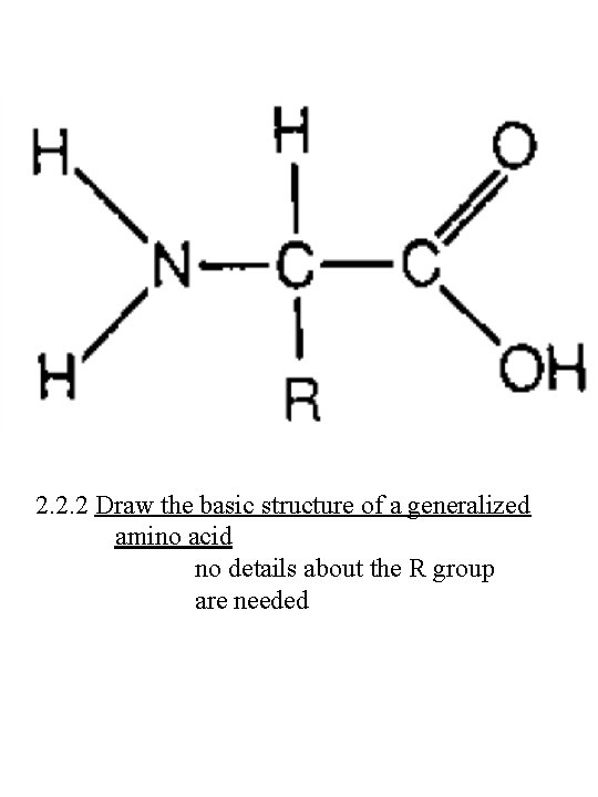 2. 2. 2 Draw the basic structure of a generalized amino acid no details