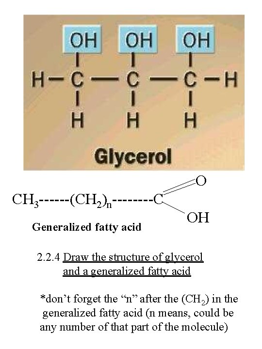 O CH 3 ------(CH 2)n----C Generalized fatty acid OH 2. 2. 4 Draw the