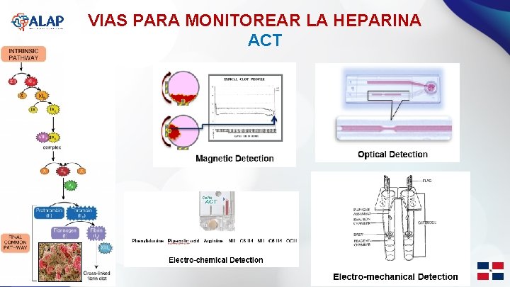 VIAS PARA MONITOREAR LA HEPARINA ACT Por: Sra. Maribel Saldarriaga 