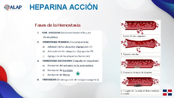 HEPARINA ACCIÓN Fases de la Hemostasia Por: Sra. Maribel Saldarriaga 