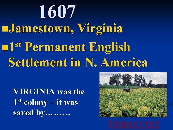 1607 n. Jamestown, Virginia st n 1 Permanent English Settlement in N. America VIRGINIA