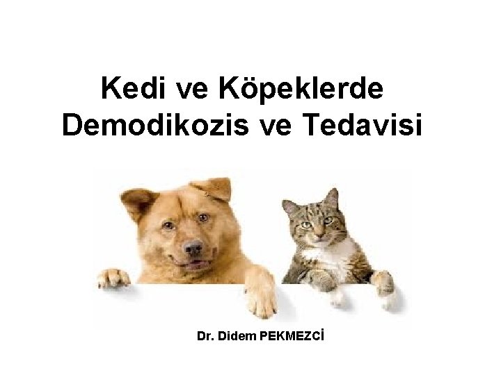 Kedi ve Köpeklerde Demodikozis ve Tedavisi Dr. Didem PEKMEZCİ 